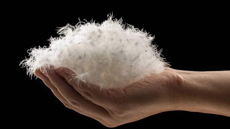 4招選對羽絨服，保暖過冬更省心